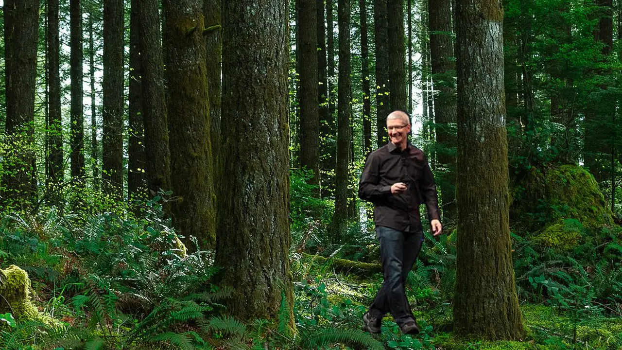 Apple Beli Hutan Seluas 36.000 Hektar demi Kertas Kemasan Produk