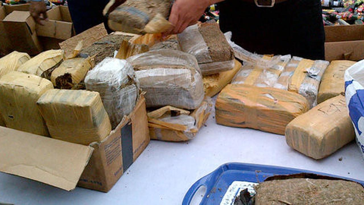 Petugas Bandara Kualanamu bongkar penyelundupan 7 Kg ganja ke Bali