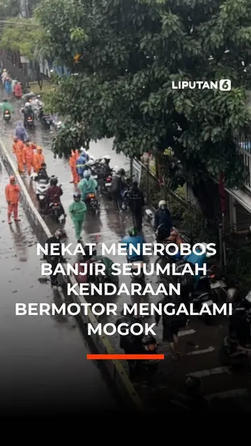 Nekat Menerobos Banjir Sejumlah Kendaraan Mengalami Mogok