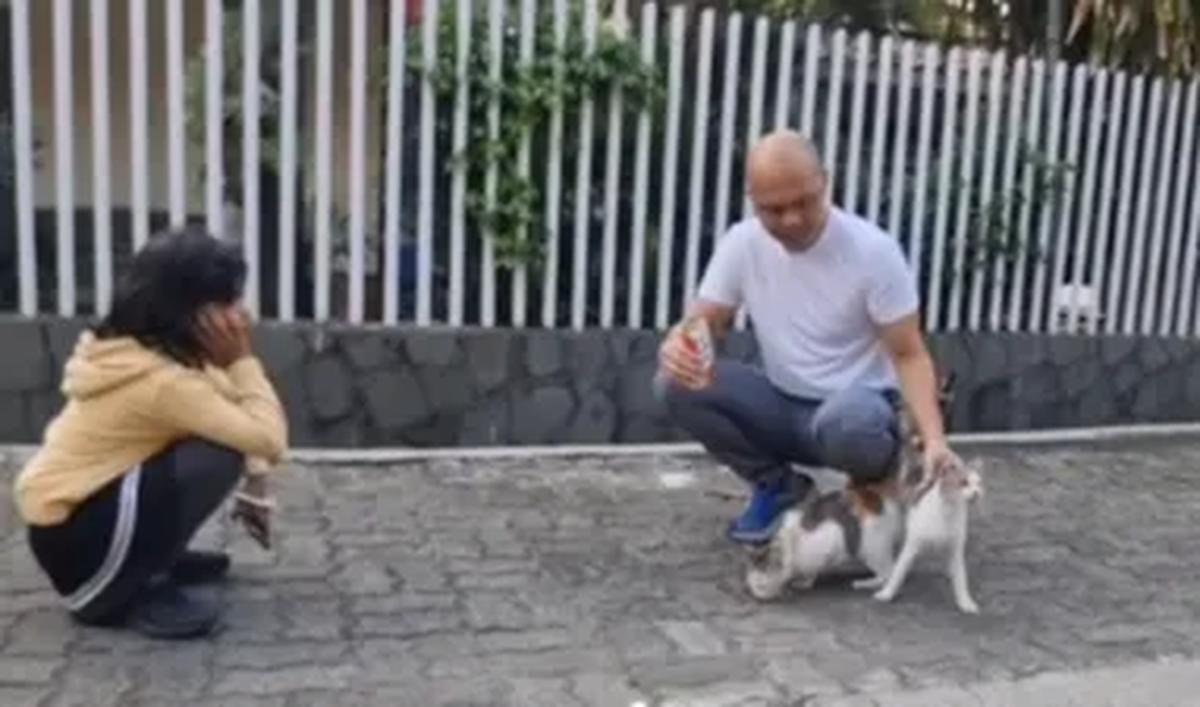 Jenderal Polri Sedekah ke Kucing Liar