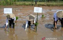 Pemkab Gowa Optimalkan Program Cetak Sawah, Perkuat Swasembada Pangan Nasional
