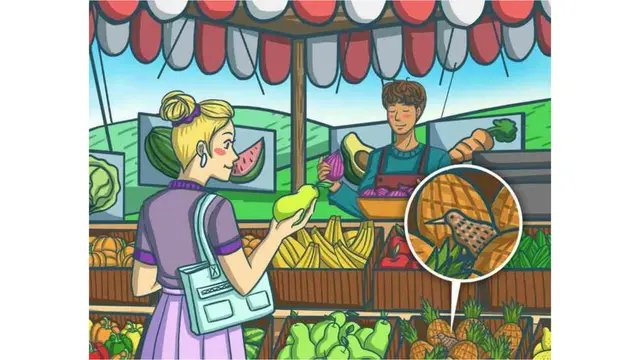 Teka teki cari kiwi.