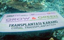 FOTO: Kolaborasi BRI Peduli dan Kelompok Maratua Peduli Lingkungan Lakukan Transplantasi Karang di Pulau Maratua