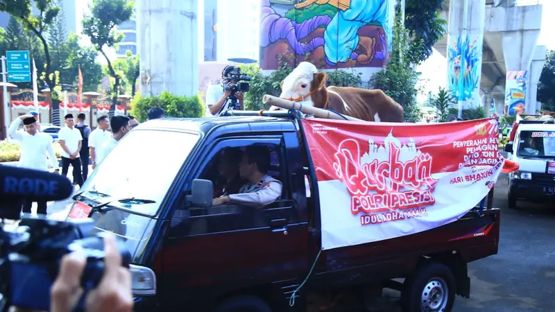 Polri menyerahkan dan mendistribusikan 9.300 hewan kurban jenis sapi dan kambing ke seluruh wilayah Indonesia dalam rangka memperingati Hari Raya Idul Adha 1444 H, sekaligus Hari Bhayangkara ke-77, Kamis (29/6/2023)