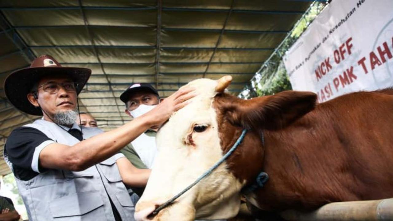 Fakta Unik: Pemprov Jateng Targetkan Vaksinasi PMK Sejuta Hewan Ternak di 2025 Demi Genjot Produksi Daging
