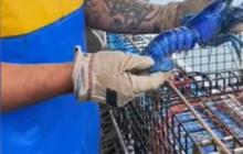 Nelayan Ini Tak Sengaja Temukan Lobster Biru Paling Langka di Dunia