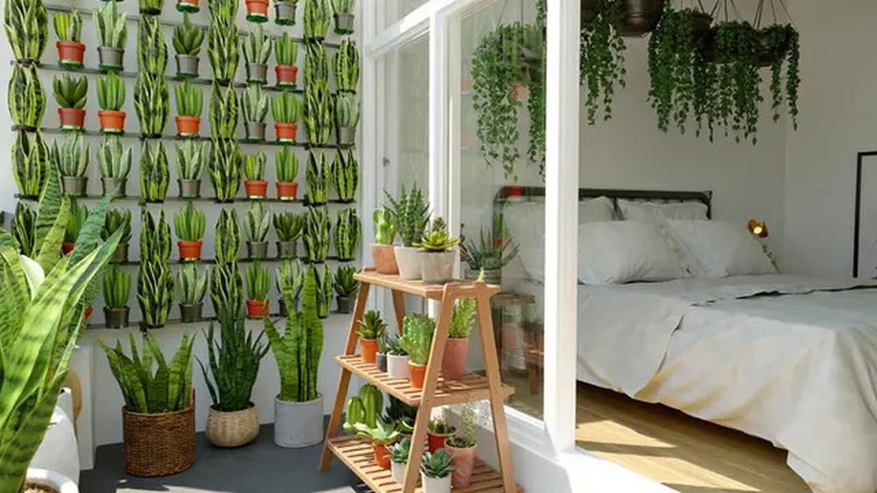 8 Inspirasi Kamar Tidur dengan Teras Mini, Tren Hunian Tahun 2025