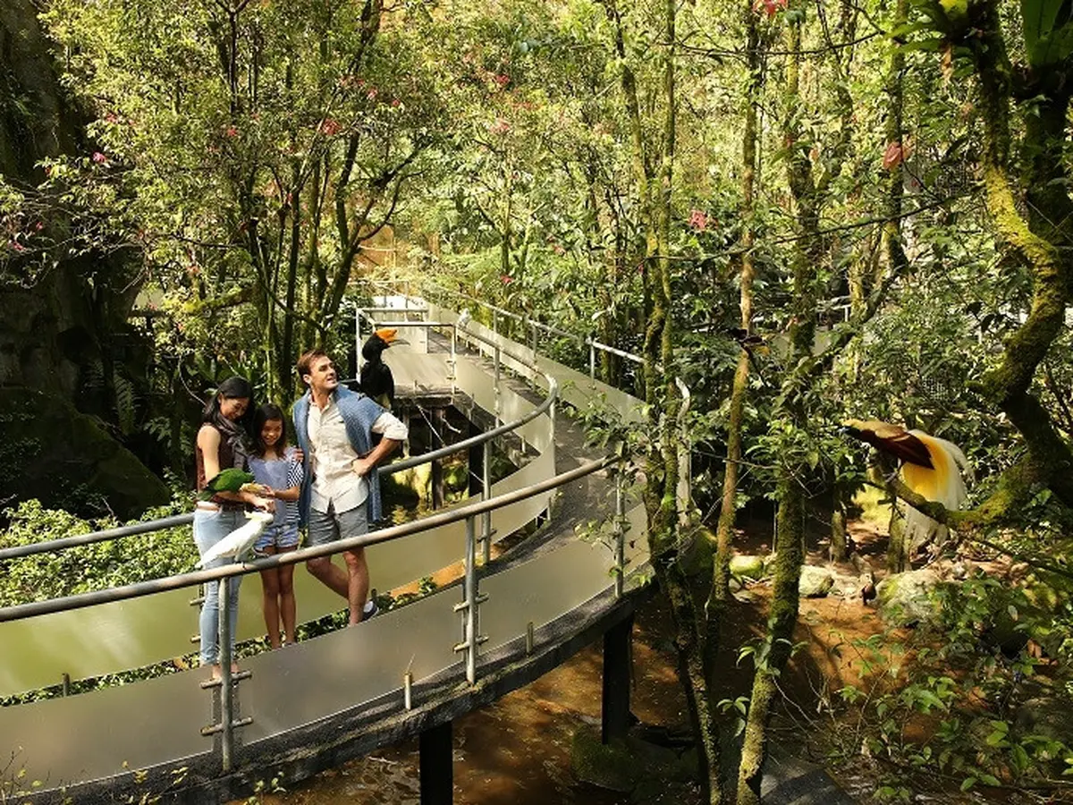 Wisata di Puncak yang Hits, Jadi Referensi untuk Liburan