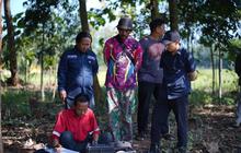 Kementan Siagakan Sumur dan Pompa, Kunci Atasi Kekeringan Subang Amankan Produksi Padi