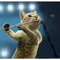 Potret Lucu Kucing Saat Bermain Alat Musik Ini Bikin Gemas (sumber:dailycommercials.com)