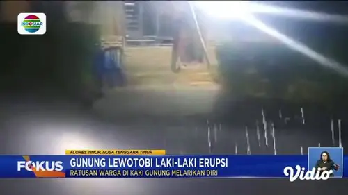 Fokus : Pohon Besar di Situs Budaya Petta Bulu Matanre Tumbang Timpa Belasan Wisatawan, 9 Orang Meninggal
