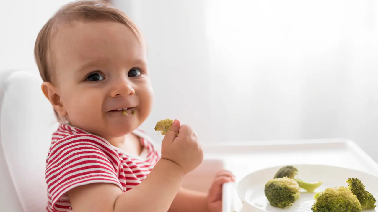 Bayi Memulai Makan