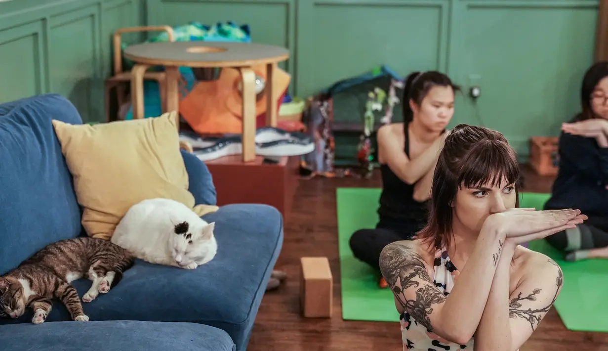 Orang-orang berpartisipasi dalam kelas yoga bersama kucing  di kafe kucing Brooklyn, New York, Rabu (13/3). Kafe ini menawarkan tempat latihan yoga dengan ditemani kucing-kucing menggemaskan. (REUTERS/Jeenah Moon)