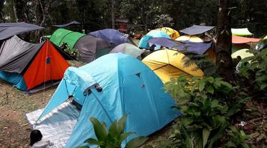 Komunitas Kemah Keluarga Indonesia Ajak Anak Mengeksplorasi Alam Fimelahood Fimela Com