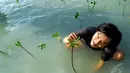 Menanam mangrove menjadi kegiatan yang sangat menyenangkan karena bersentuhan langsung dengan alam, Kepulauan Seribu, Jakarta Utara, Sabtu (3/5/2014) (Liputan6.com/Miftahul Hayat).