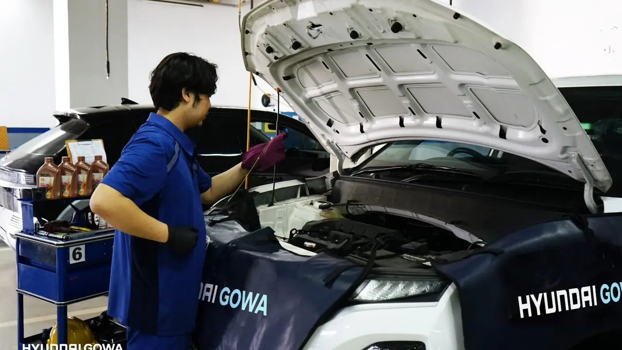 Hyundai Gowa