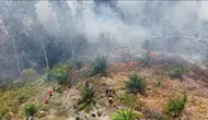 Penerjun Freefall Dikerahkan Tangani Kebakaran Hutan Riau