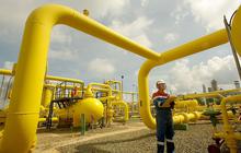 ESDM: Pipa Gas Dumai-Sei Mangke Bisa Pangkas Subsidi LPG 3 Kg Sebesar Rp420 Miliar per Tahun