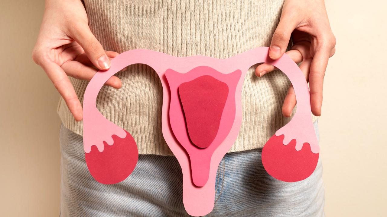 Ilustrasi Sistem Reproduksi Wanita