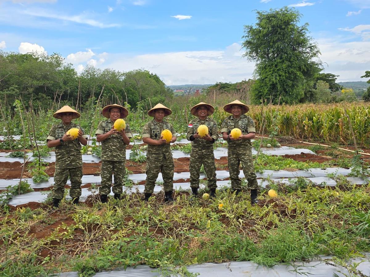 TNI AU