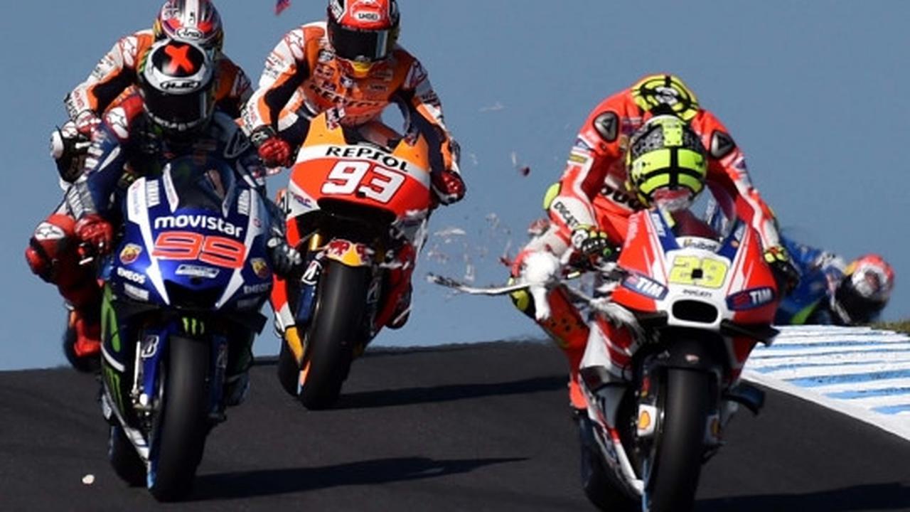 Nasib tragis burung camar jadi 'tumbal' MotoGP di Phillip Island