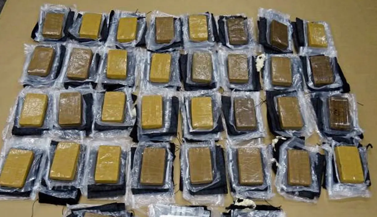 Sejumlah kokain yang ditemukan didalam patung kuda saat akan dikirim dari Meksiko ke Auckland, Selandia Baru Mei lalu. Didalam patung dengan tinggi 1 meter ini ditemukan 35 kg Kokain dengan kisaran harga 131 miliar. (REUTERS/New Zealand Police)