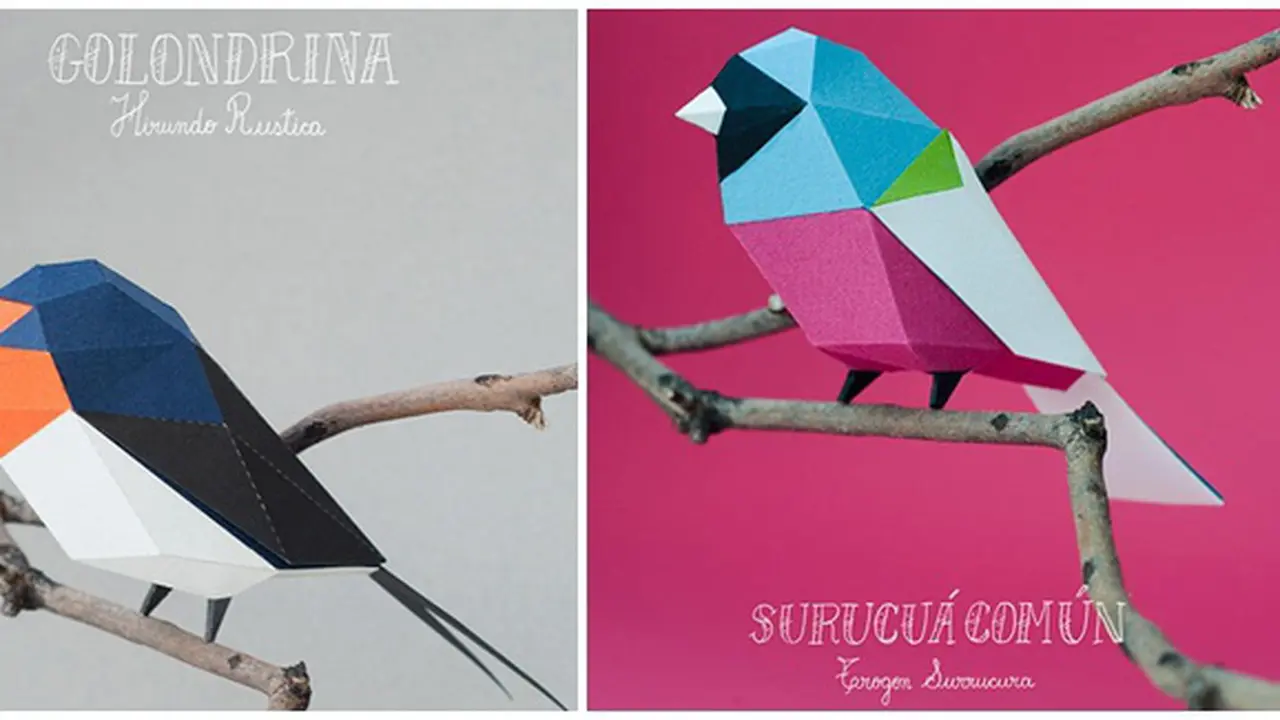 Foto: copyright thisiscollosal.com
