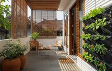 9 Teras Rumah Minimalis dengan Kebun Sayur Vertikal, Cantik Meski Lahan Terbatas