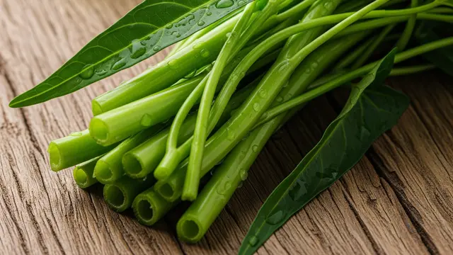 Ilustrasi Kangkung
