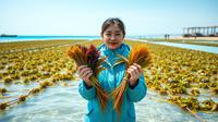 seaweed adalah ©Ilustrasi dibuat Stable Diffusion