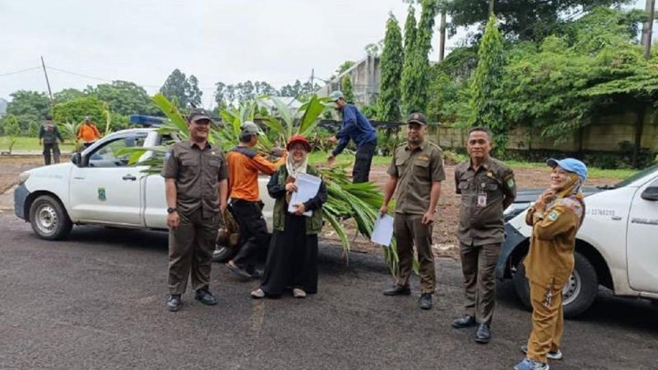 Pemkot Tangerang Salurkan 20 Ribu Bibit Kelapa Genjah, Perkuat Ketahanan Pangan Warga