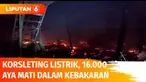 Sebanyak 16.000 ekor ayam siap jual, mati dalam kebakaran yang menghanguskan seluruh peternakan di kawasan Ngamprah, Bandung Barat. Diduga, korsleting listrik jadi pemicu terjadinya kebakaran.
