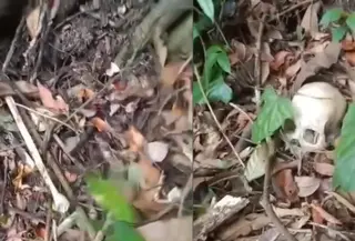 Warga menemukan kerangka manusia dalam kondisi tidak utuh di kawasan Taman Hutan Raya (Tahura) Wan Abdul Rachman, Register 19, Dusun Umbul Solo Sinar Baru, Desa Padang Ratu, Kecamatan Gedong Tataan, Kabupaten Pesawaran, Lampung, Rabu (28/10/2026). (Dok. Istimewa)
