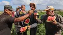 Petani Palestina makan semangka saat mereka bekerja selama musim panen di tengah pandemi virus corona di Beit Lahia di Jalur Gaza utara dekat perbatasan dengan Israel (18/6/2021). (AFP/Mohammed Abed)