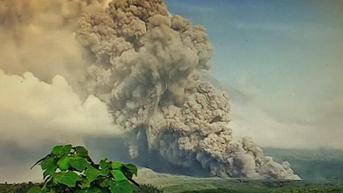 Gunung Semeru Erupsi, Jarak Luncuran Awan Panas 13 Kilometer Lebih