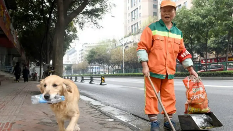 Aksi Mulia Anjing Jenius Ini Layak Kita Teladani