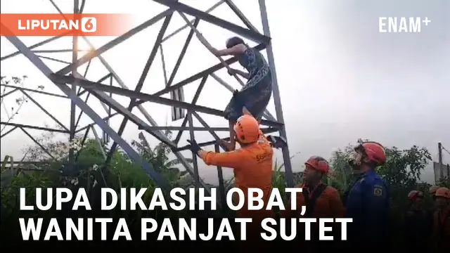 VIDEO: Evakuasi Dramatis Seorang Wanita yang Panjat Sutet PLN