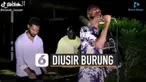 Sepanjang tampil, sang penyanyi disambar burung berkali-kali.