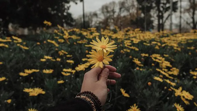 Ilustrasi./Copyright unsplash.com/kevin laminto