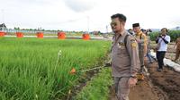 Menteri Pertanian, Syahrul Yasin Limpo, saat meninjau kesiapan Pekan Nasional (Penas) XVI Petani dan Nelayan di Padang.