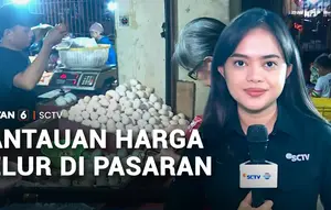 Harga Telur Ayam Anjlok Bikin Peternak Rugi, Ini Pantauan Harga Terkini di Pasar