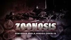 zoonosis