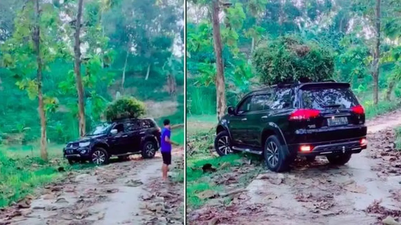 Mitsubishi Pajero Sport dipakai angkut rumput