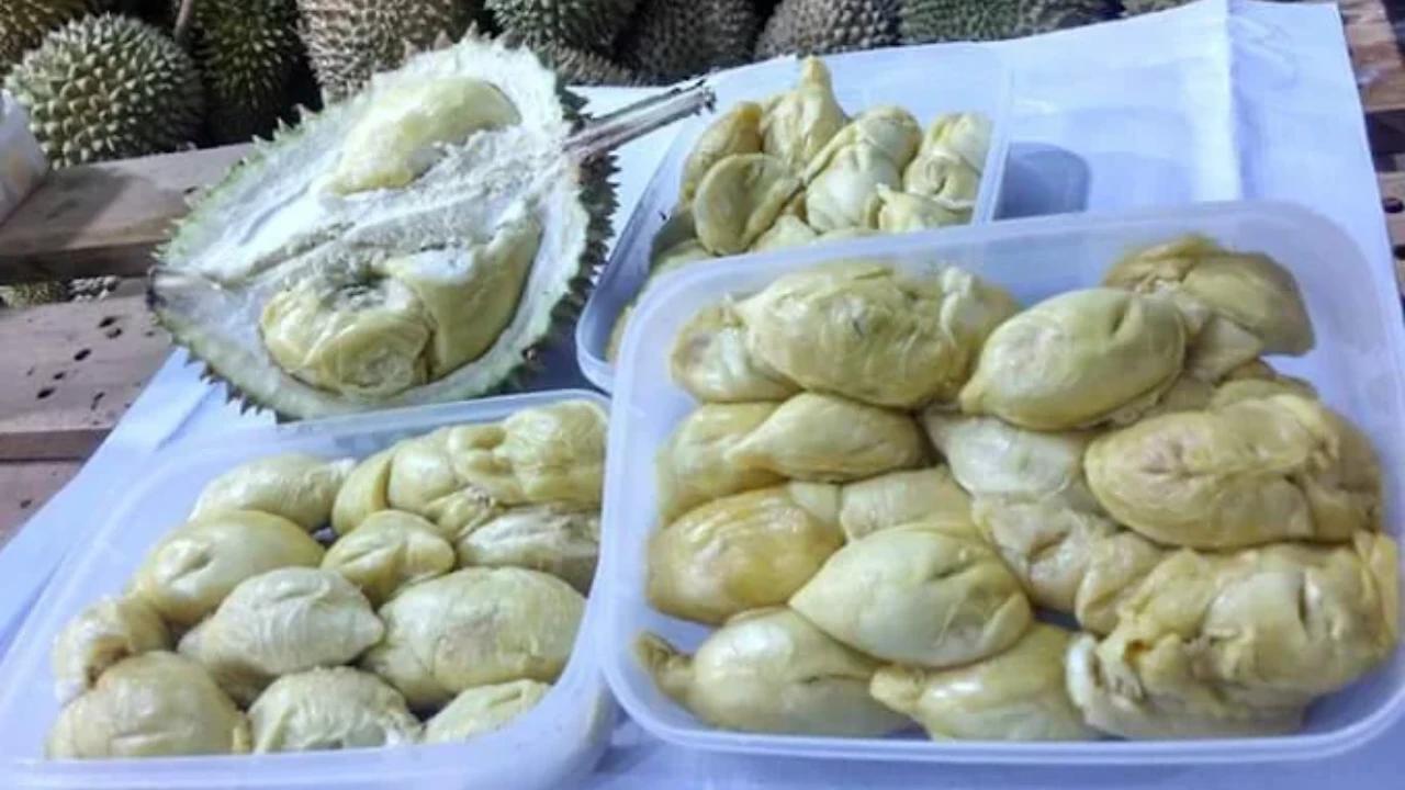 Perdana, 48 Ton Durian Beku Indonesia Resmi Masuk Pasar China