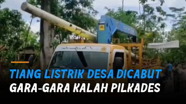 VIDEO: Waduh, Puluhan Tiang Listrik Desa Dicabut Gara-Gara Kalah Pilkades