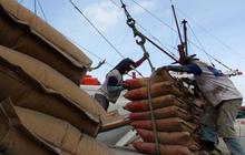 Pabrik Tuban dongkrak produksi Holcim 10 juta ton