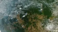Gambar yang diambil oleh NASA Earth Observatory menunjukkan kebakaran hutan yang melanda negara bagian Brasil: Amazonas (kanan-tengah atas), Para (atas kanan), Mato Grosso (kanan bawah) dan Rondonia (bawah tengah) pada 11/8/2019. (AFP/HO)