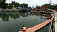Petugas berada diatas pelampung menyerok sampah di Kali Sekretaris, Jakarta, Rabu (1/11). Kegiatan ini rutin di lakukan oleh Pasukan Oranye guna mengantisipasi banjir di wilayah Ibukota. (Liputan6.com/Johan Tallo)