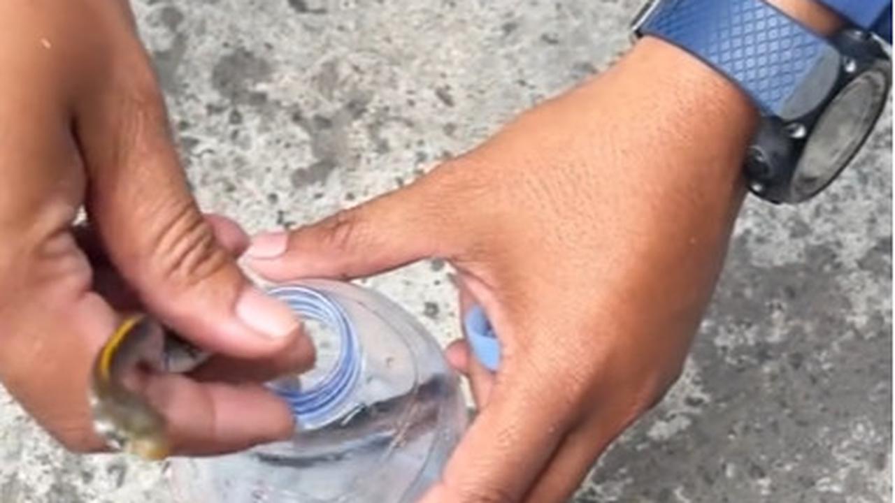 Temui Ular di Kamarnya, Aksi Damkar Lakukan Evakuasi Ini Banjir Pujian