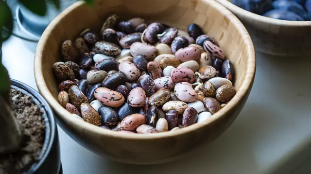 6. Kacang
